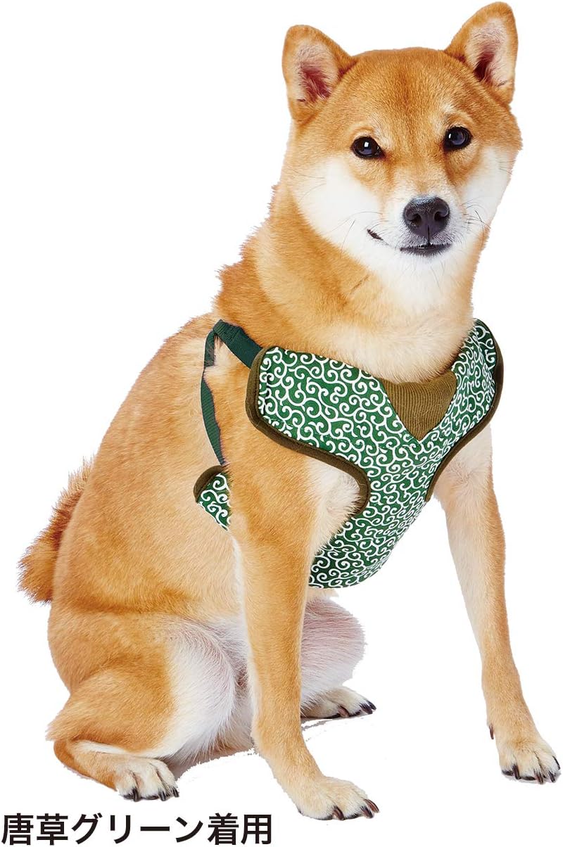 petexio (Petio) Dog Microsoft Arabesque Vest HSS Green SS size