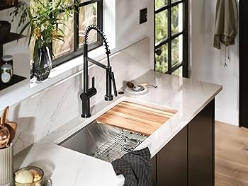 Amazon.com: Moen CIA Matte Black Pre-Rinse Spring Kitchen