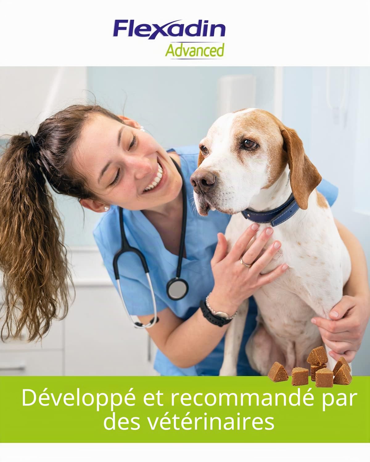 FLEXADIN Advanced® Chien | Pour la santé des articulations | Collagène non dénaturé de type II & Boswellia – 60 friandises articulaires