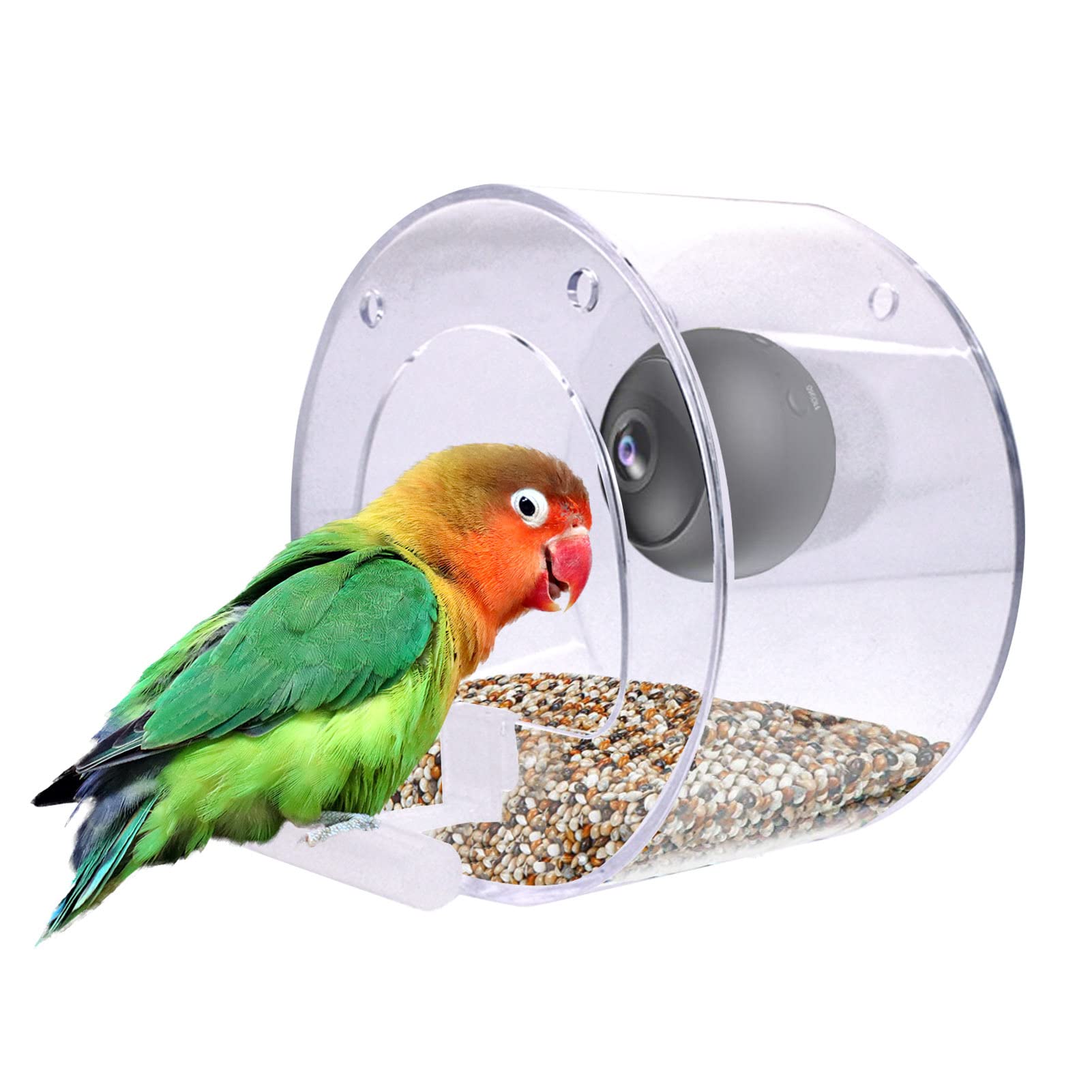 Mangiatoia per Uccelli con Fotocamera, Mangiatoia per Uccelli da Finestra con Forti Ventose, Mangiatoia per Uccelli con Telecamera WiFi Wireless 1080p, Videocamere Versione Notturna Cattura Foto di