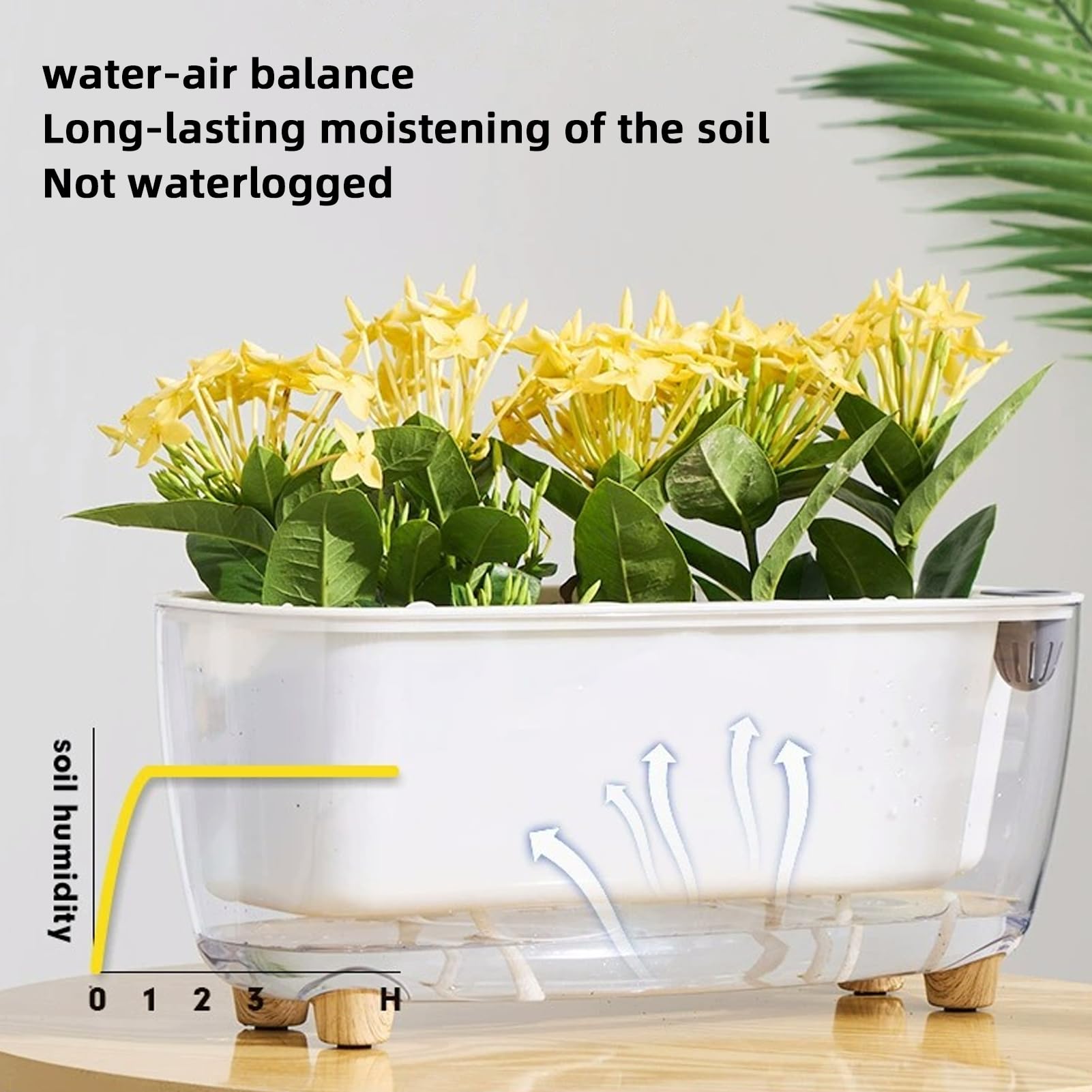 FIYSON Selbstbewssernder Pflanztopf, 30cm Transparent  Kunststoff-Krutertopf, Fensterbank Blumenkasten mit Wasserspeicher,  Gartenblumen Bonsai fr ...