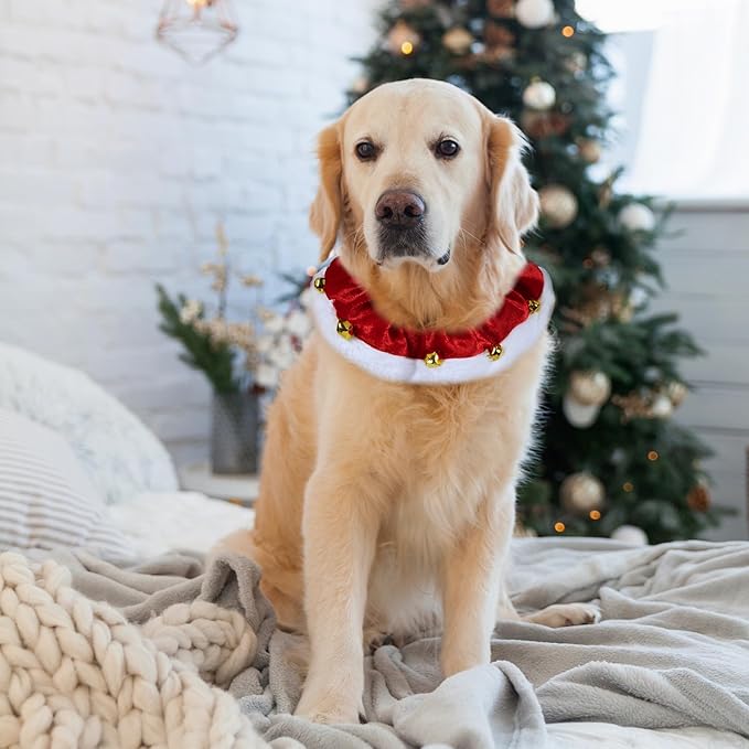 Disfraz Navideño para Perro con Campanas GOYOSWA - Talla L, Rojo miniatura 2