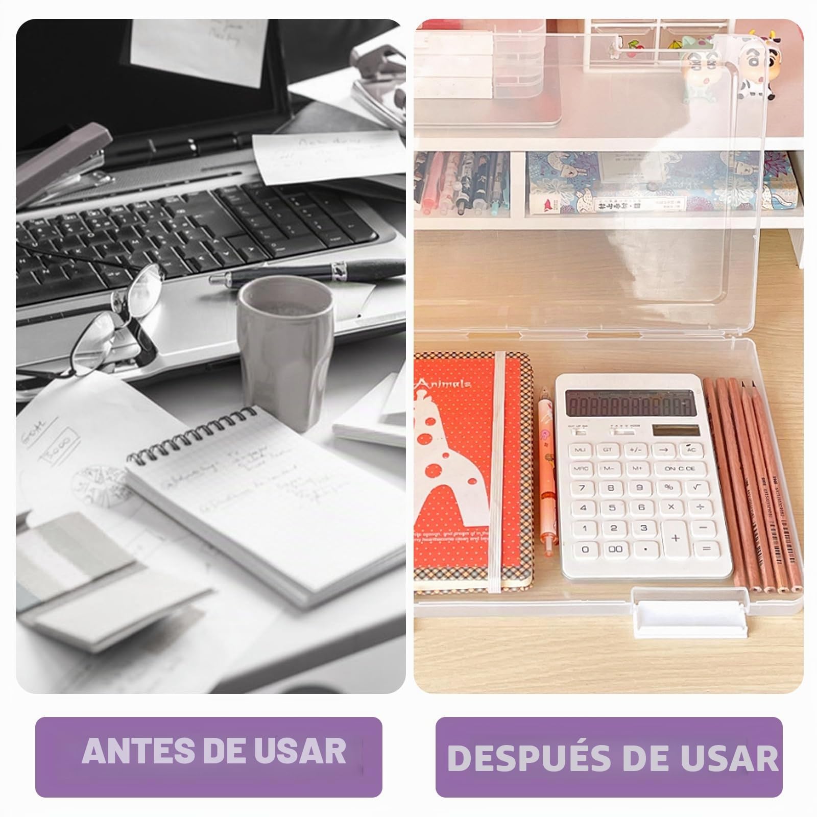 Pack de 6 Cajas Transparentes A4 para Archivo, Caja Plastico y Documentos con Cierre de Hebilla Cajas de Almacenamiento Portatiles A4 para Oficina Escuela y Hogar 30.5x22.5x2 cm