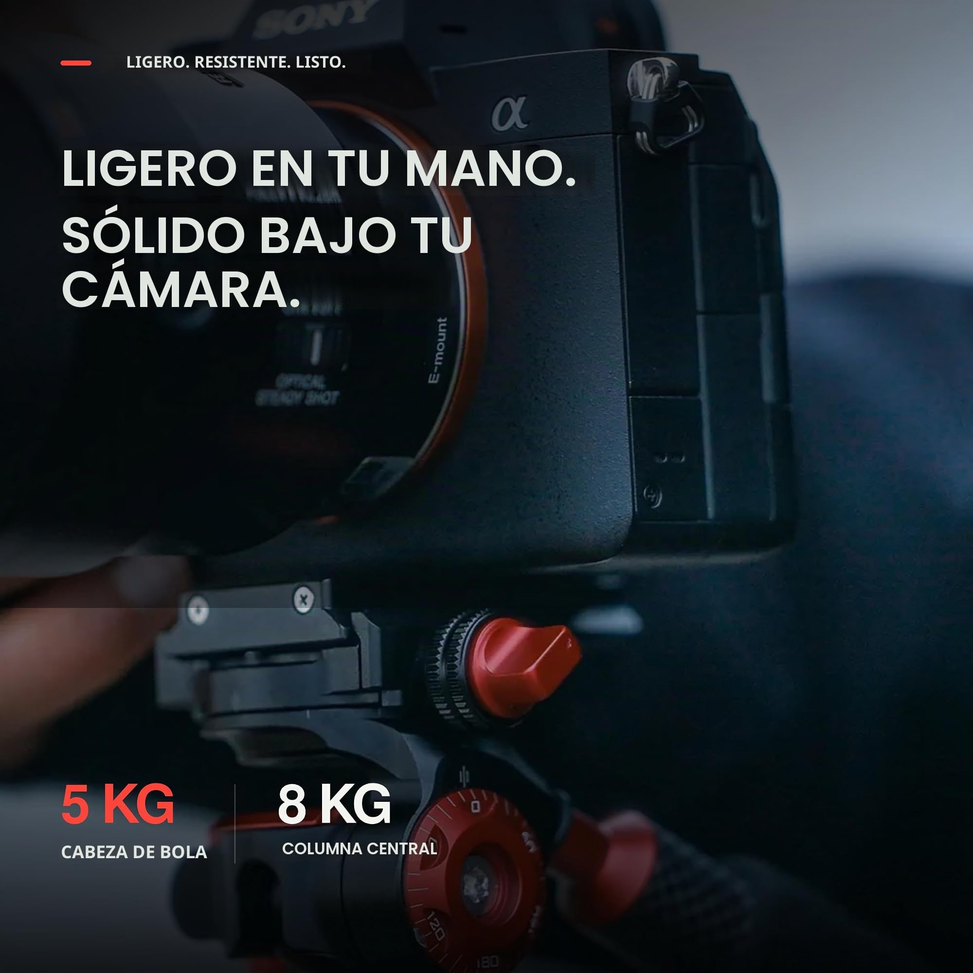 Freewell Trípode de Viaje de Fibra de Carbono de 59,1 Pulgadas | Ligero, con cabeza esférica de 360°, carga máxima de 5 kg, placa de liberación rápida, para cámaras DSLR y smartphones.