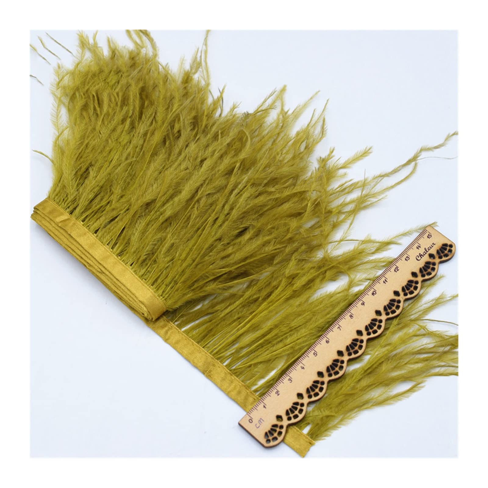 Frange de plumes d'autruche pour décoration de mariage et robe de fête bleue