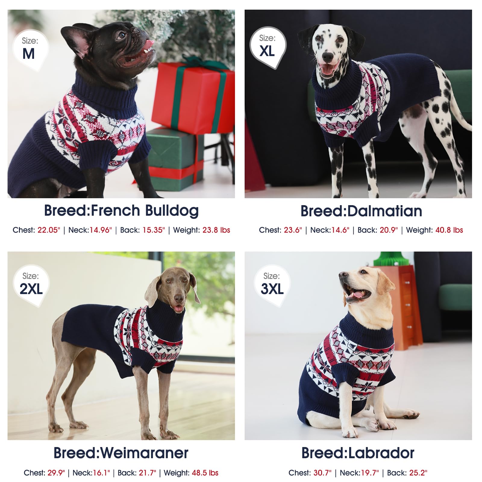 IECOii Maglione per Cani di Taglia Media e Piccola, Taglia M