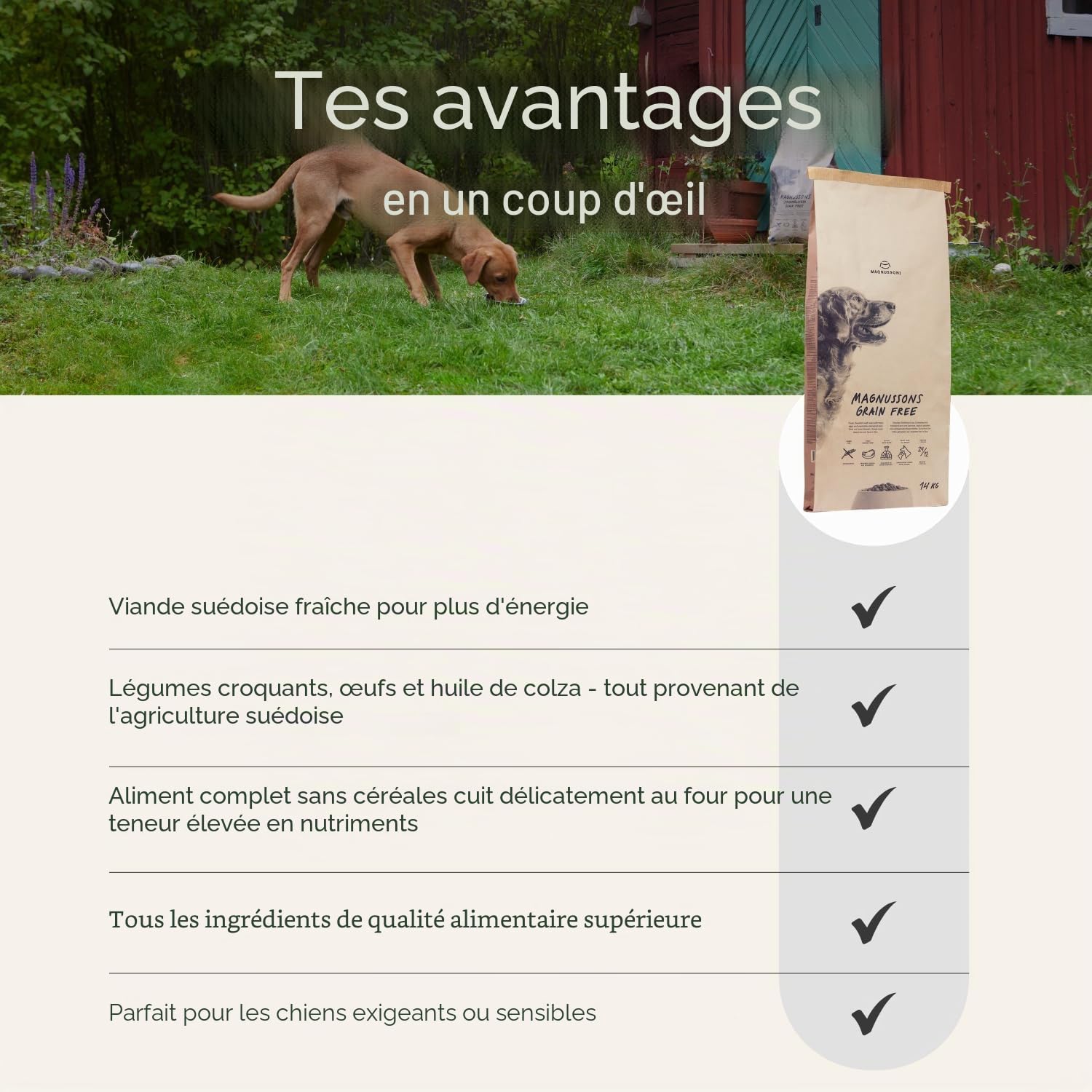 MAGNUSSONs Grain Free (1 x 14 kg) – Nourriture sèche pour Chiens Adultes de Toutes Races – Aliment Complet – Haute teneur en Viande fraîche – Cuite au Four
