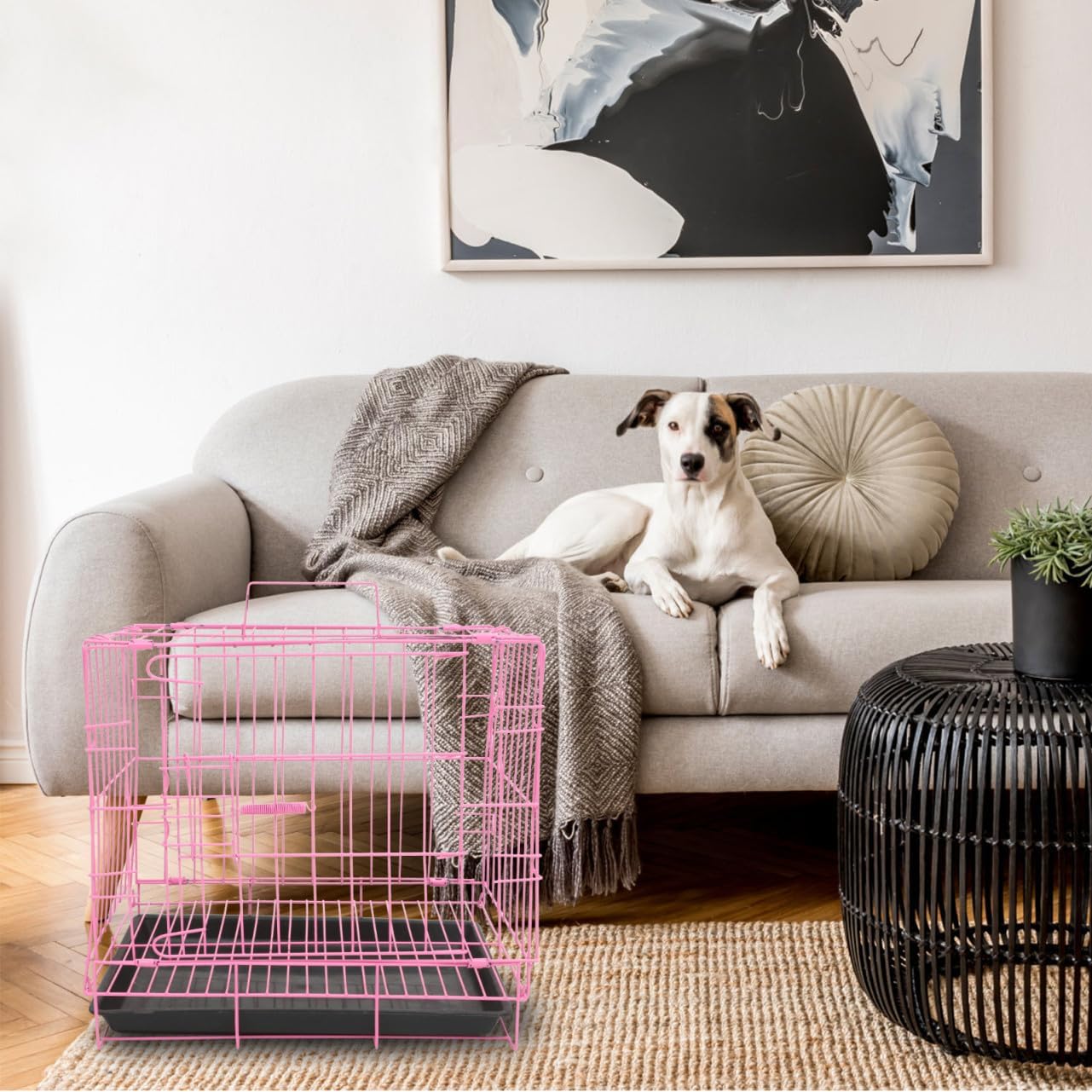 Sosoport Pet Cage Folding Dog Crate Steel Pet Crate Compact for Small and Medium Dogs Cats Rabbits with Lock