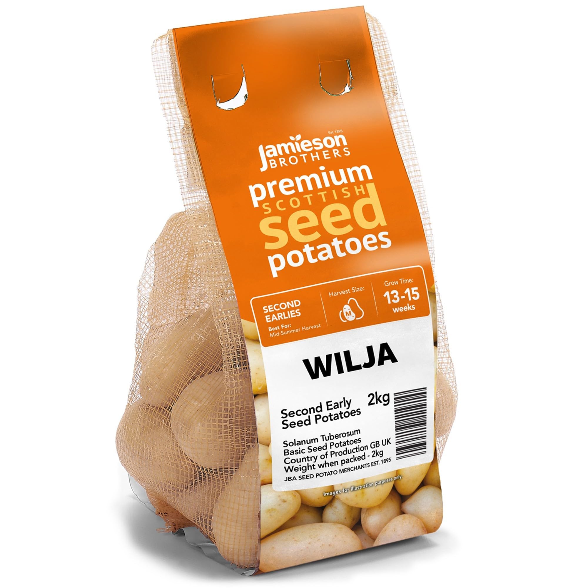 2kg Wilja Seed Potatoes (Approx. 20-25 Tubers), Second Early Grow Your Own, for Boiling Roasting, Chips & Mashing