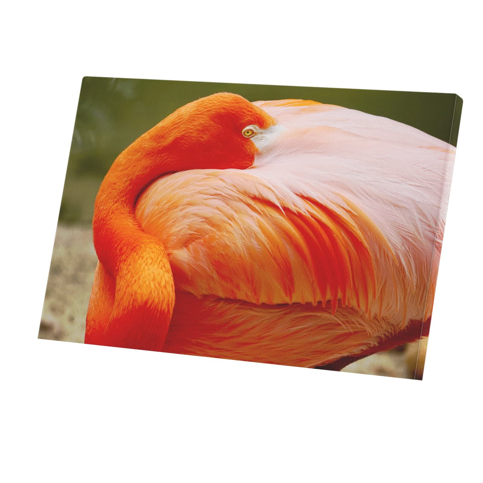 Toile Imprimée Flamand Rose Grand Format Cadre Salon et Chambre Cosy - 4