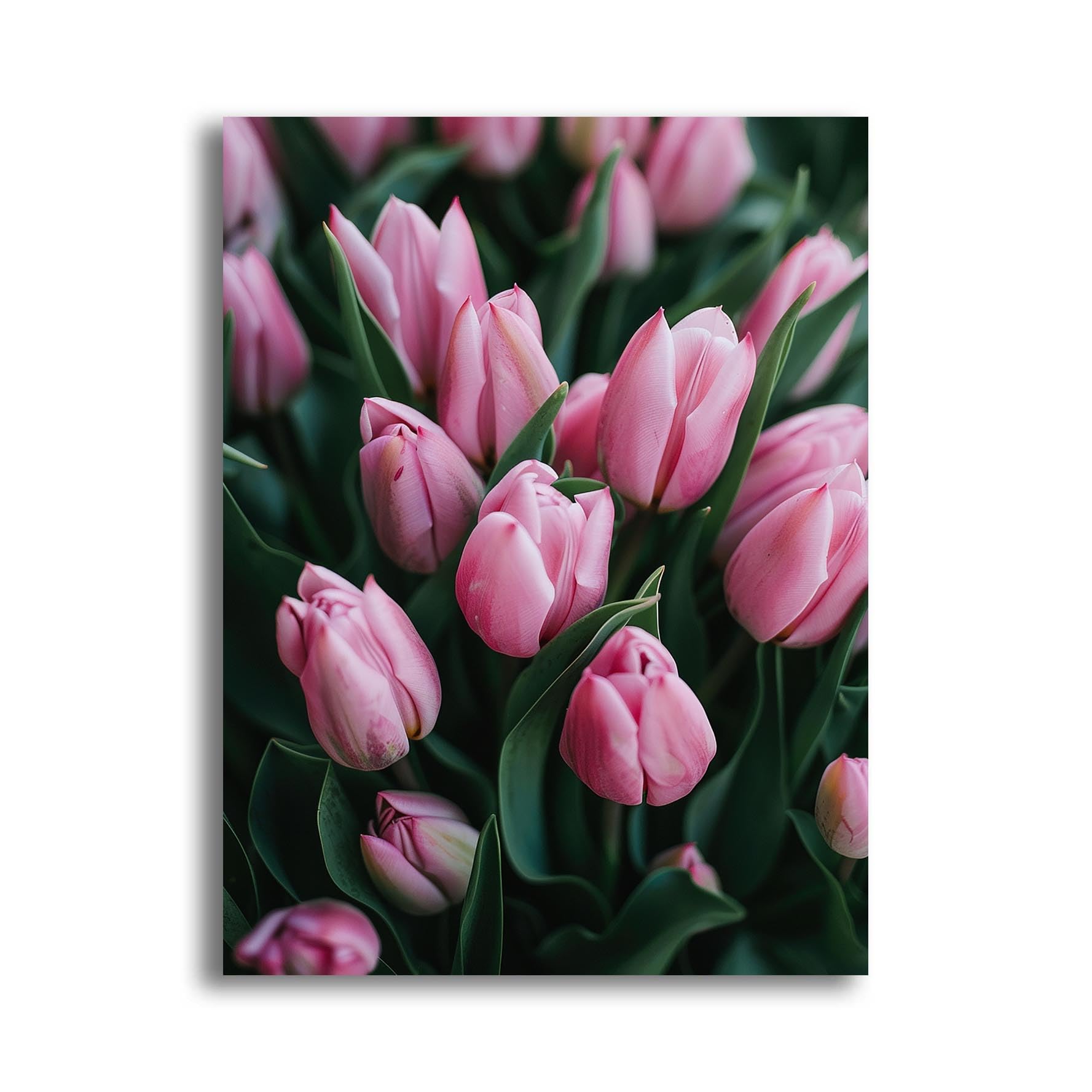 Kit Diamond Painting 5D Tulipano - 30x40 Cm, Con Diamanti E Strumenti | Decorazione Casa Fai Da Te