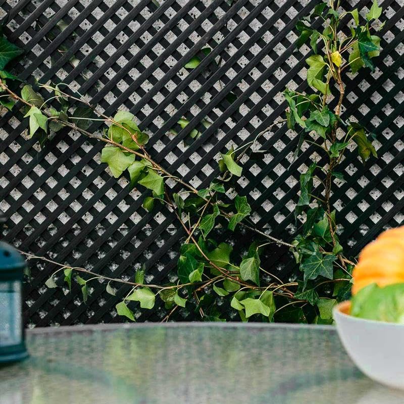 Nortene | Celosia Pvc 18 Mm 0.8x1.2 M Antracita | Decoración Exterior | Jardinería | Perfecto Para Ambientes Modernos