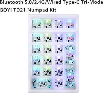 Amazon.com: BOYI TD21 Hot Swappable Numpad,21 Keys Mini Numpad