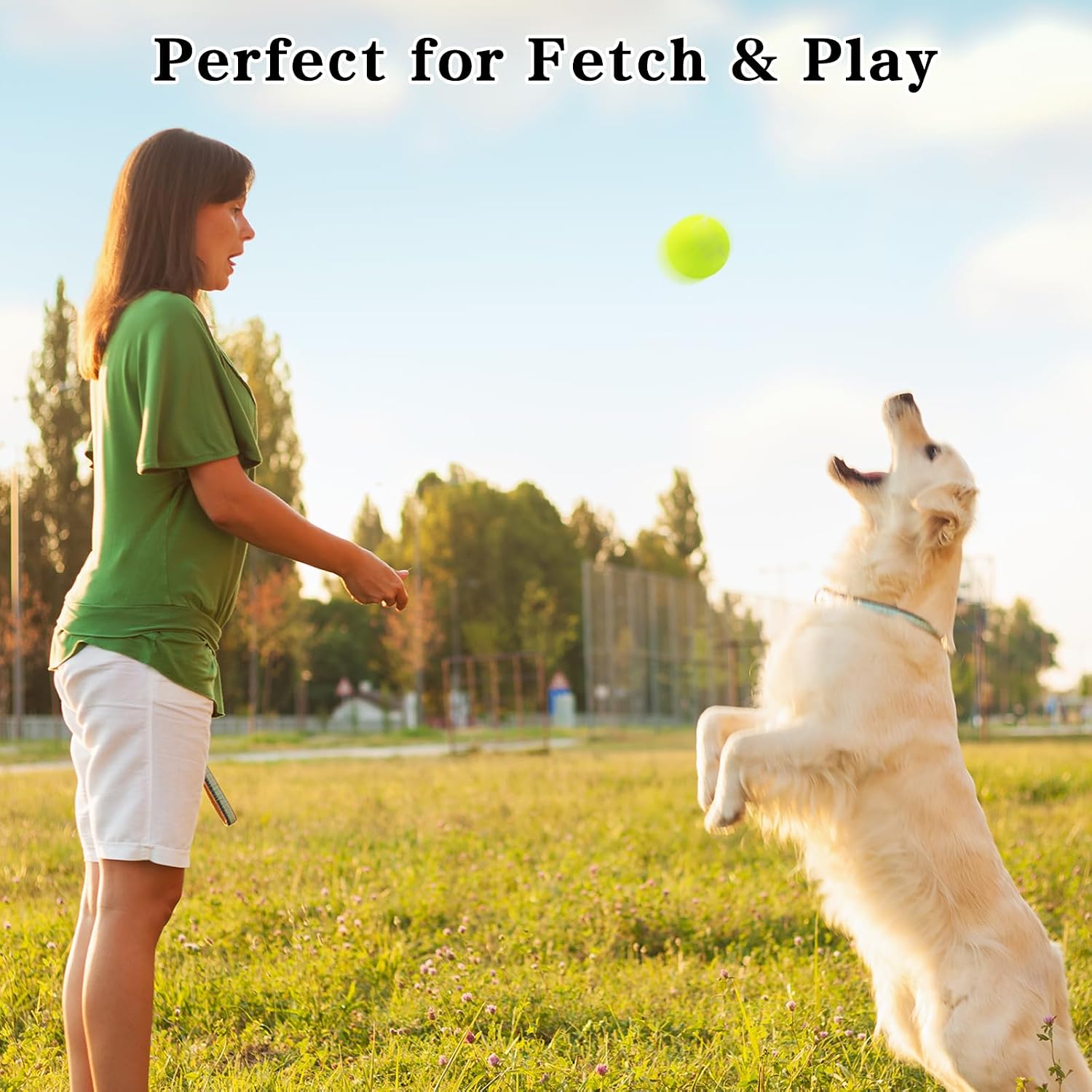 Magicorange Tennis Balls,Practice Training Balls,Playing Ball for Dogs | Durable training tennis balls,for beginners practice & pet dog playing,Multicolor/Yellow Color,6/12/24/36/80 Bulk Pack