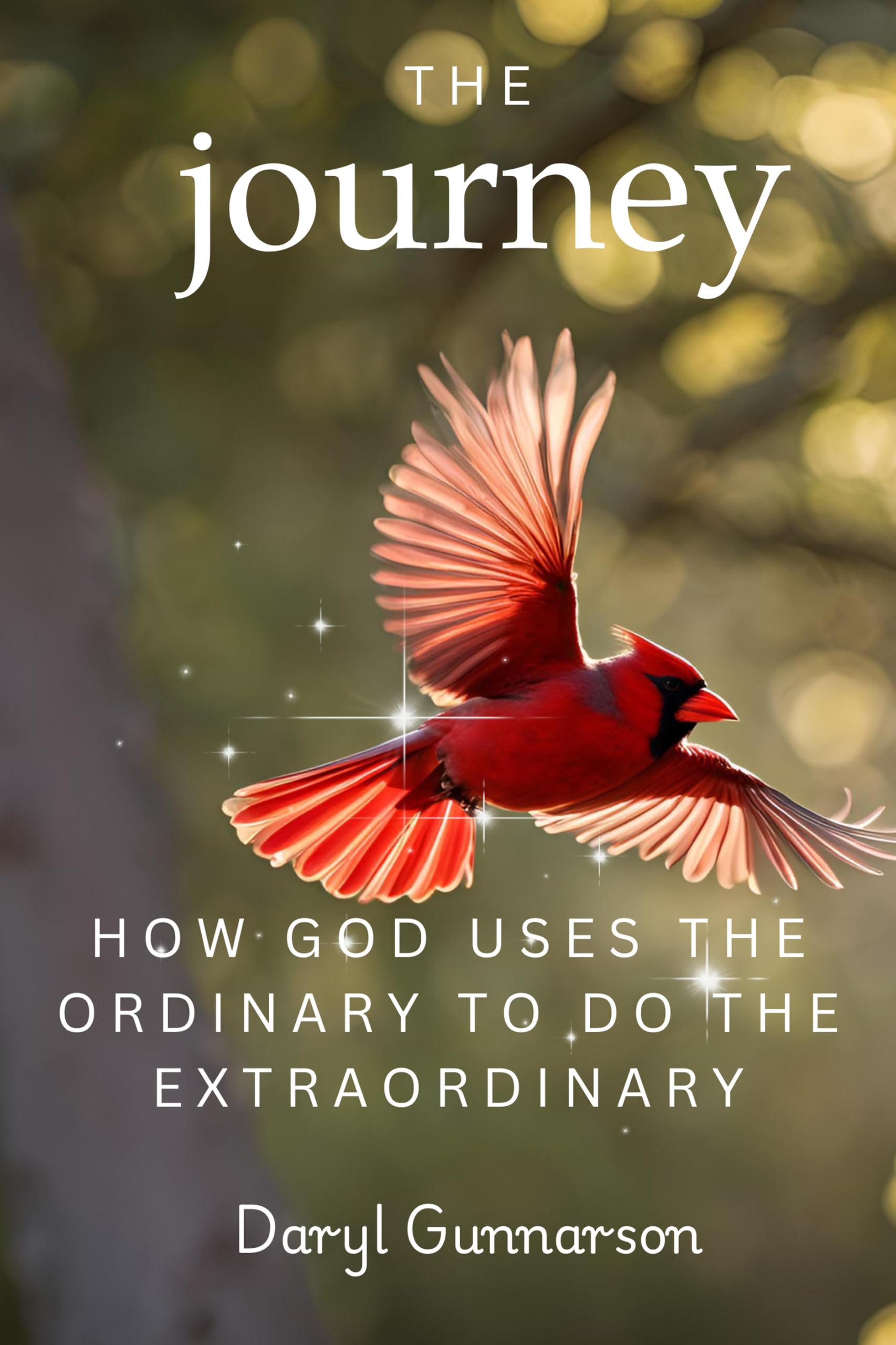 The Journey: How God Uses the Ordinary to do the Extraordinary