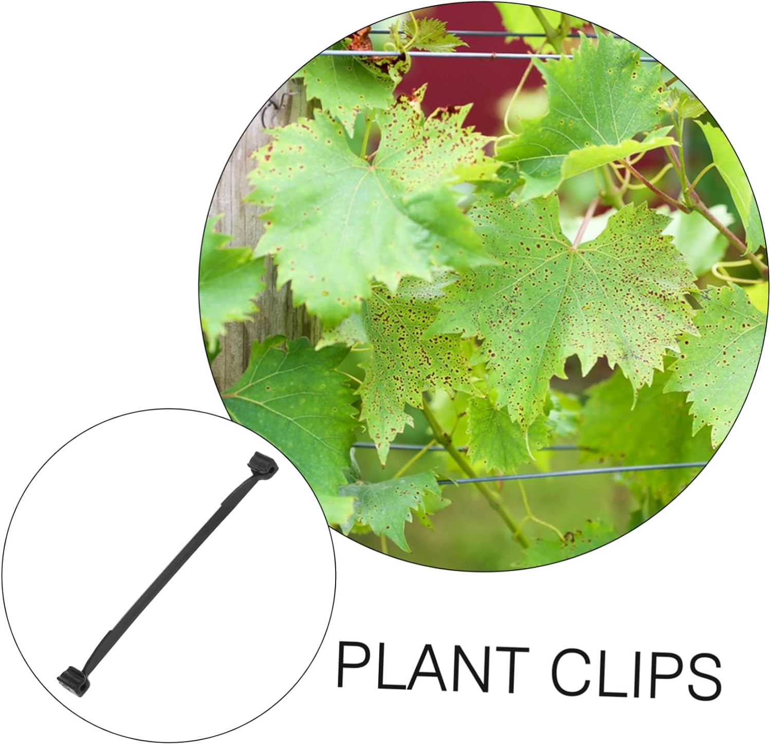 1bag Grape Plant Support Clip Plastic Vine Stem Clamp Plant Fixing Clip for Wall Garden Stem Support