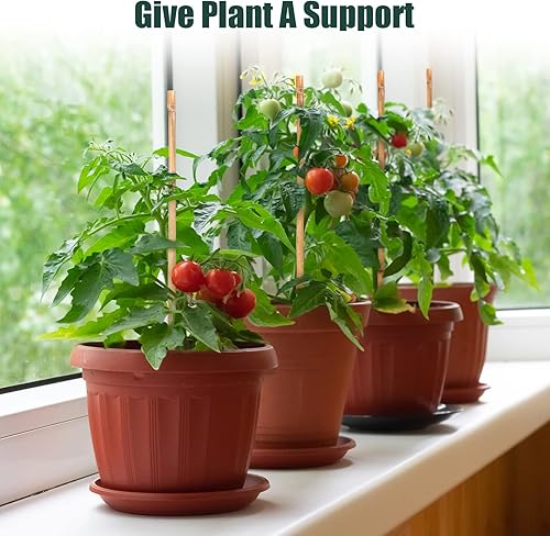 Miniatura 2 de Aboofx Enrejado de bambú, enrejado en forma de abanico de 16 pulgadas y 50 lazos para plantas, enrejado de soporte para plantas trepadoras, plantas