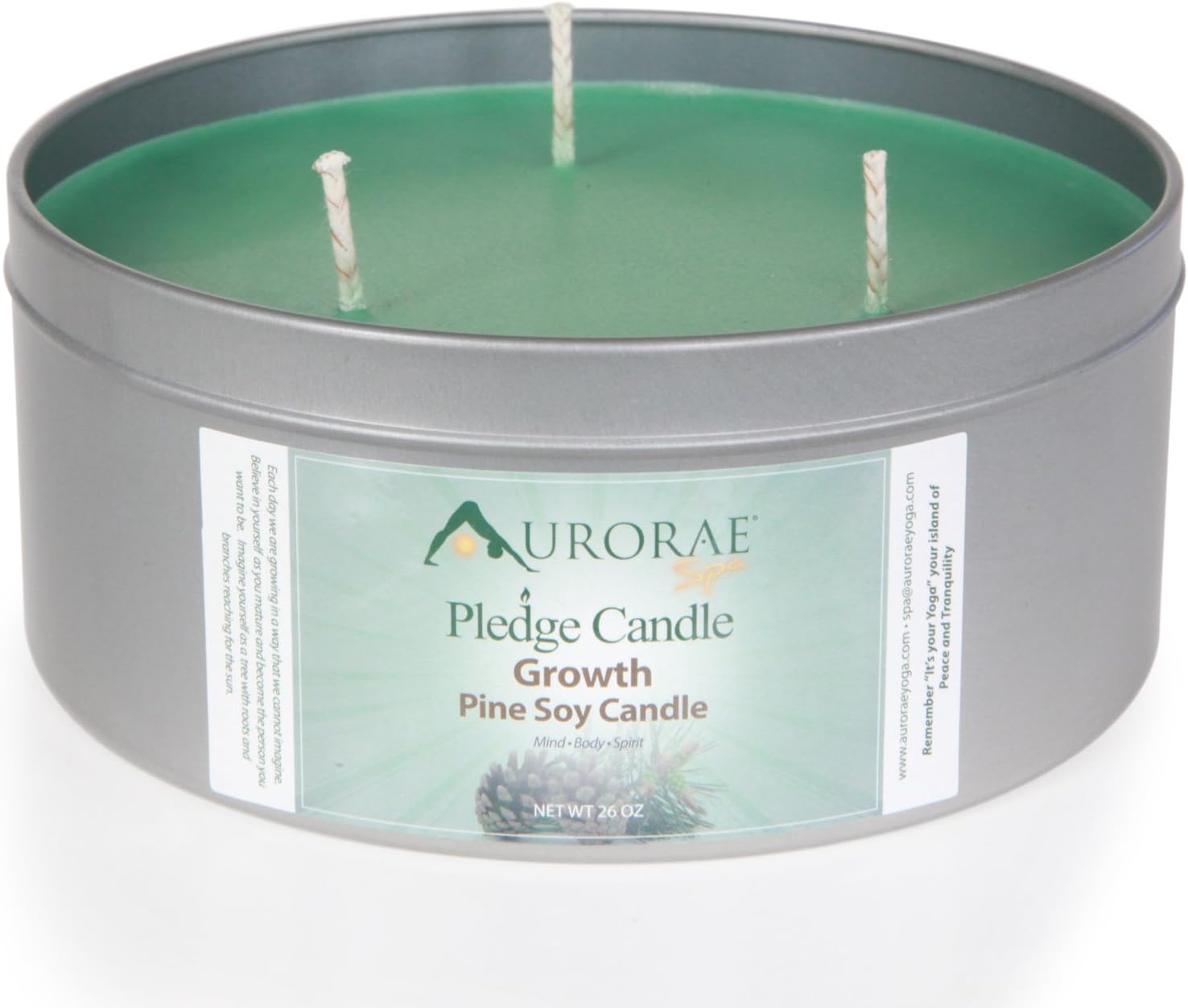 Aurorae 26 oz Pine Scented Soy Aromatherapy Candle