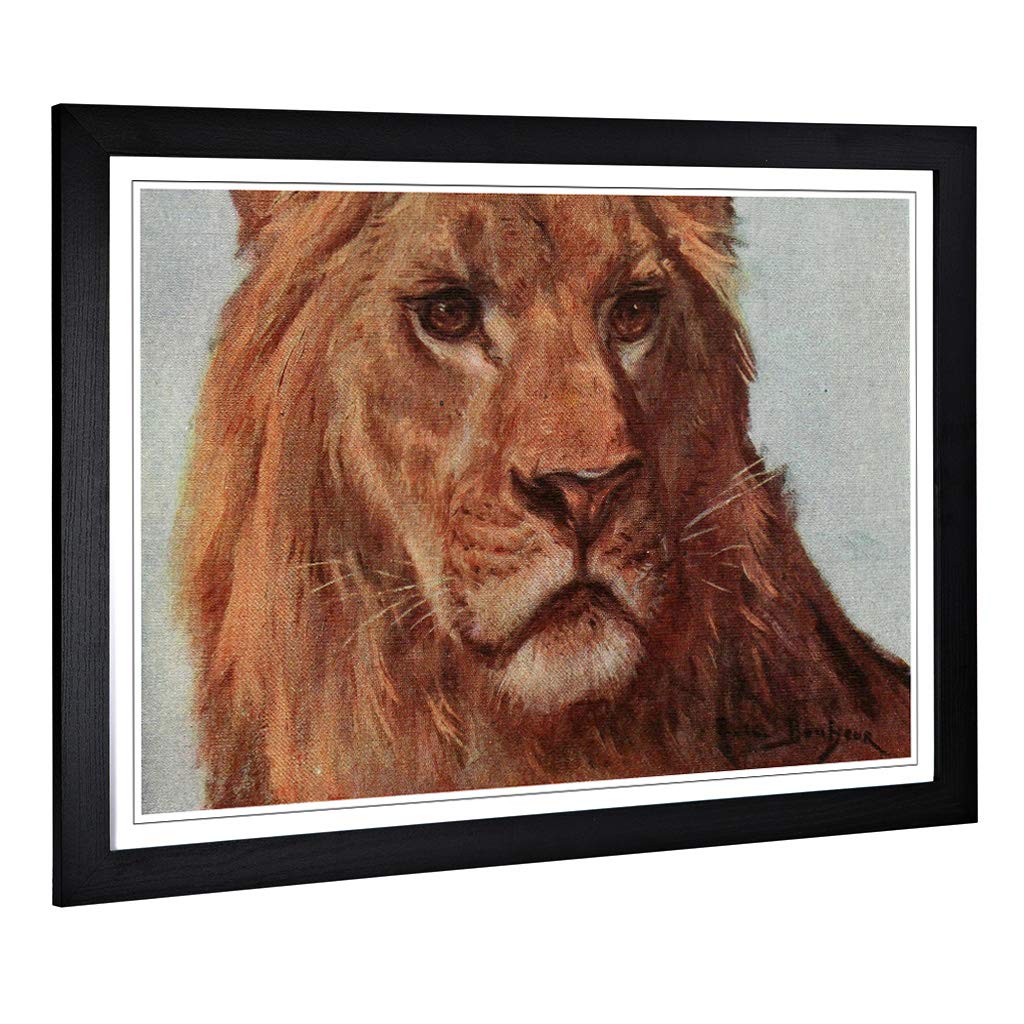 Big Box Art Framed Print of Vintage Bonheur. Rosa The Lion Meditating Design | Wall Art Picture | Home Decor for Kitchen, Living Room, Bedroom, Hallway, Black, A2 / 24.5x18 Inch / 62x45cm
