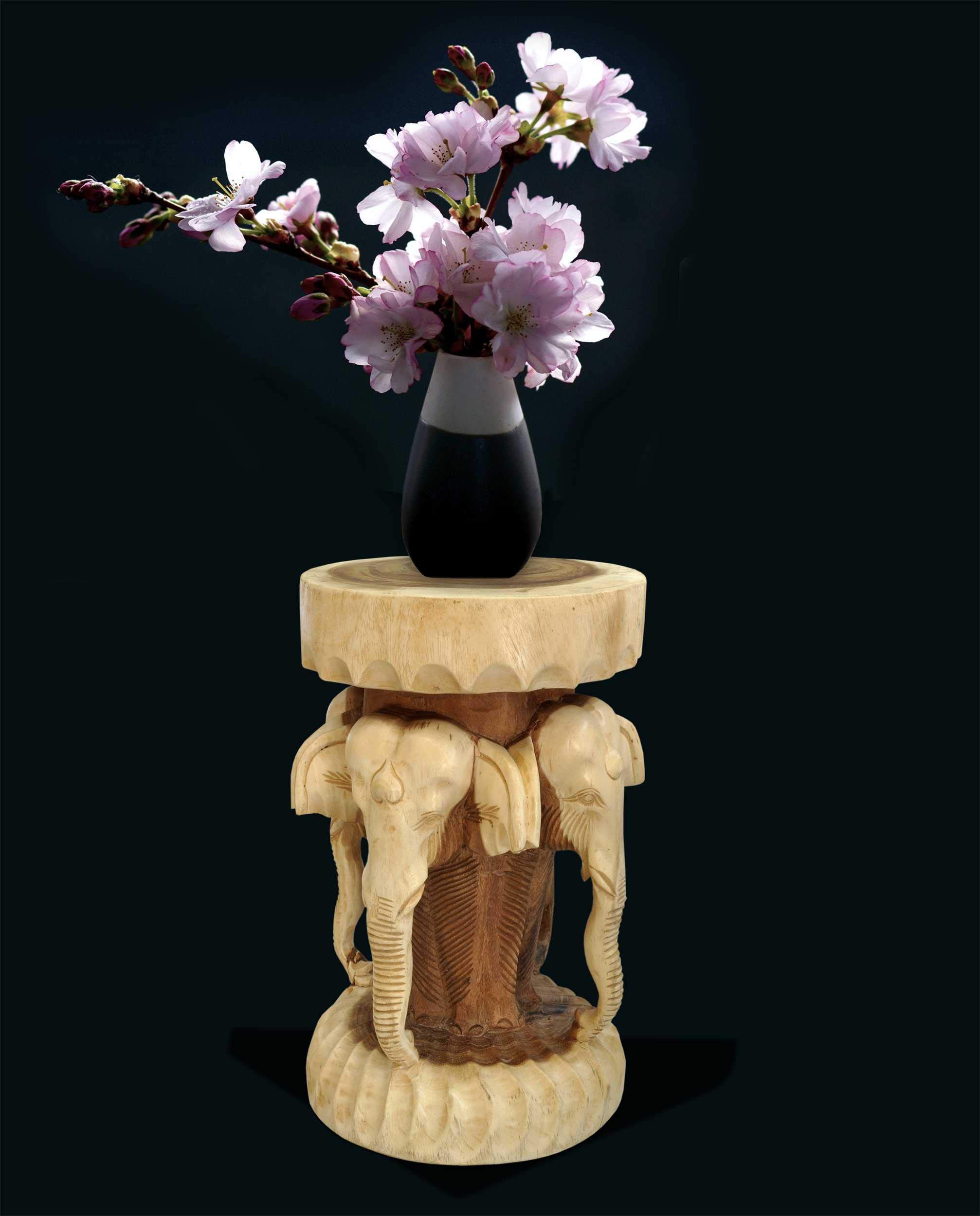 Wilai Tavolino da caffè in Legno massello (al.50/Ø30 cm) Colonna Decorazione Fatta a Mano in Un Unico Pezzo, piedistallo, portalampada o Fiori (13402)