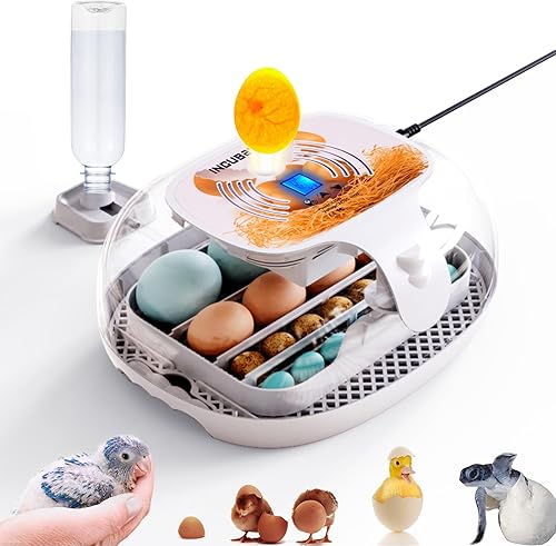 Incubadora de huevos con pantalla de humedad, girador automático de huevos, vela LED de huevos, incubadora de huevos de 360 vista clara, adición