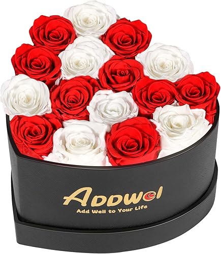 Miniatura 18 de ADDWel 24 Ramo de Rosas Rojas Reales Preservadas Flores de Larga Duración para Ella y Regalos Románticos para Esposa Novia, Dos Docenas de Rosas