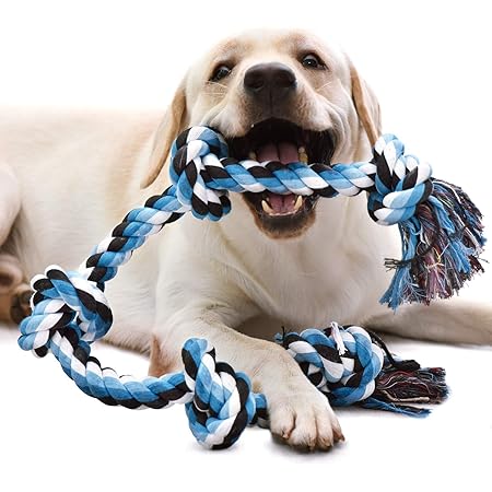 big dog rope