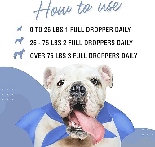 Miniatura 5 de Melatonina para perros  Salud suprarrenal, equilibrio de cortisol, relajante natural, apoyo para dormir  Suplemento líquido de 2 onzas