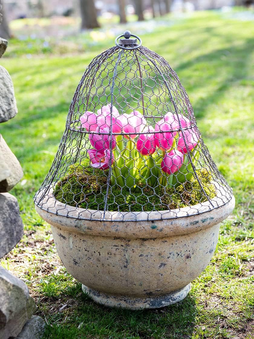 Gardener's Supply Company Sturdy Chicken Wire Cloche Plant Protector & Cover | Sturdy Metal Garden Protection for Your Crops and Seedlings | No Assembly Required - 16" in Diameter x 12.5" H