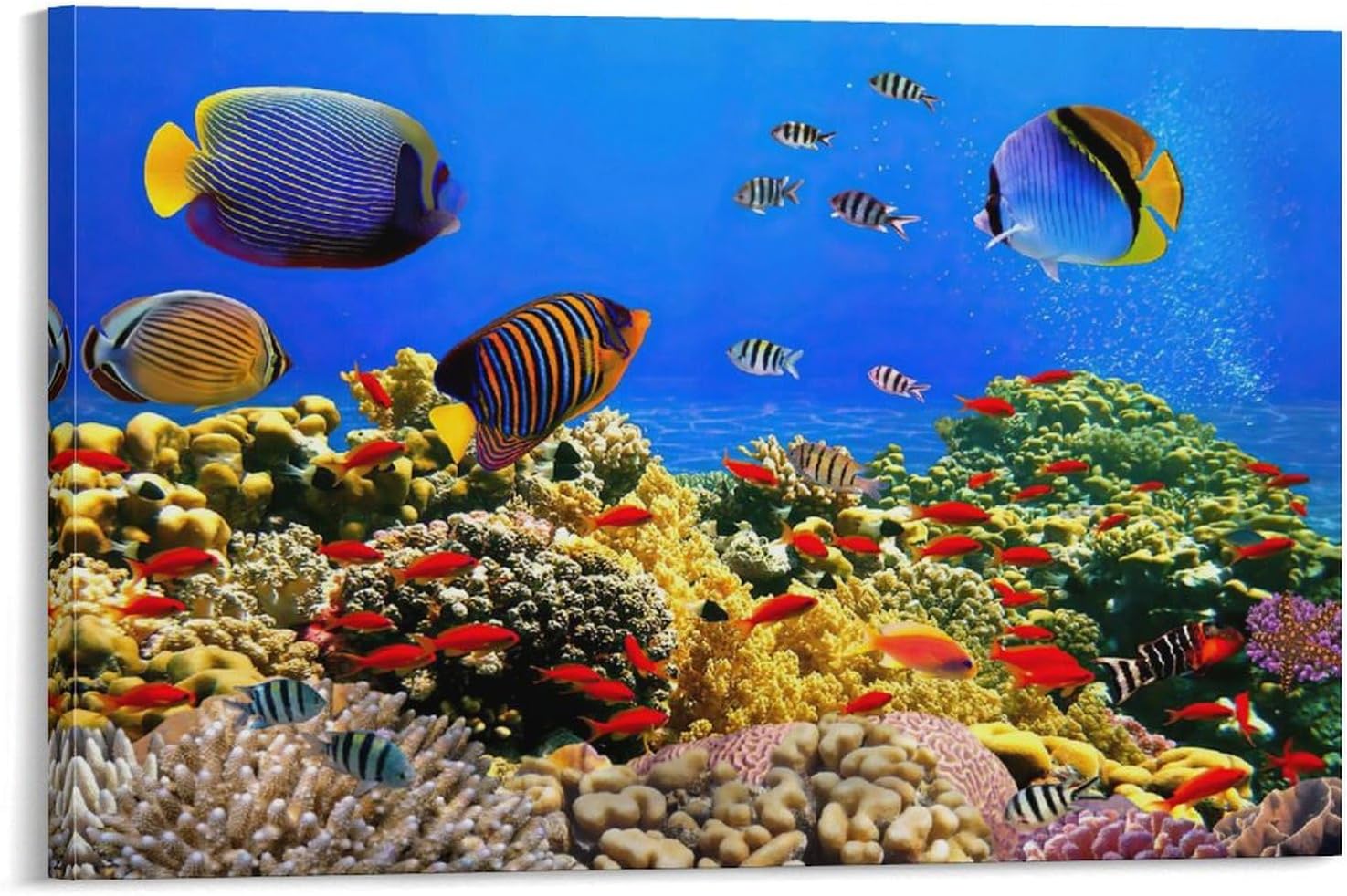 青い海 クリスチャン・ラッセン 海の眺め イルカ サンゴ礁 ポスター 部屋飾り キャンバスウォールアート 印刷 ポスター 版画 壁飾