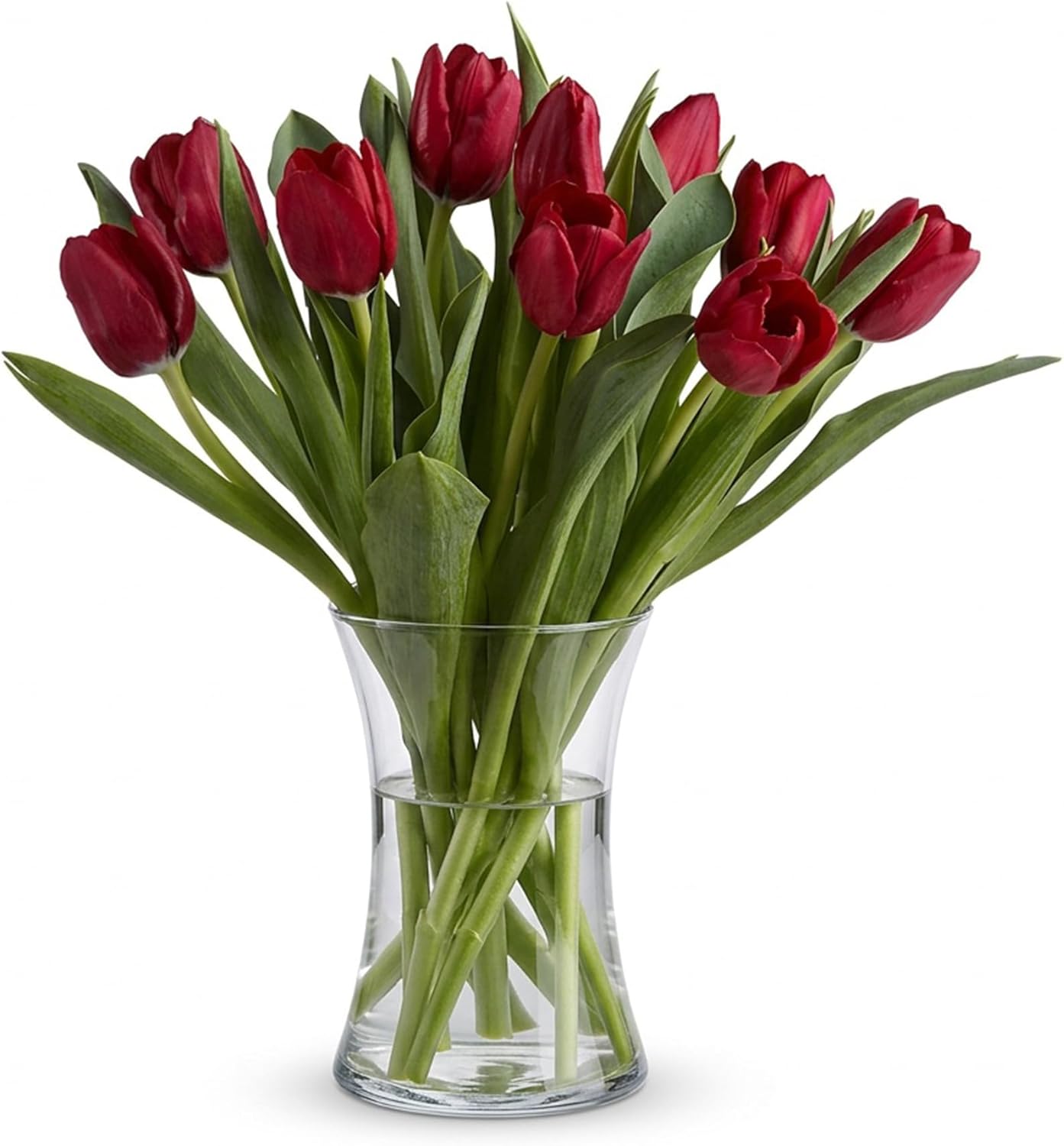 American Florals Red Tulips 15 Stems - Fresh Cut Tulip Arrangement - USA Wrapped Fresh Flower Gift for Thank You, Easter Decorations, Mother’s Day - Approx. 50 Cm Stem Length