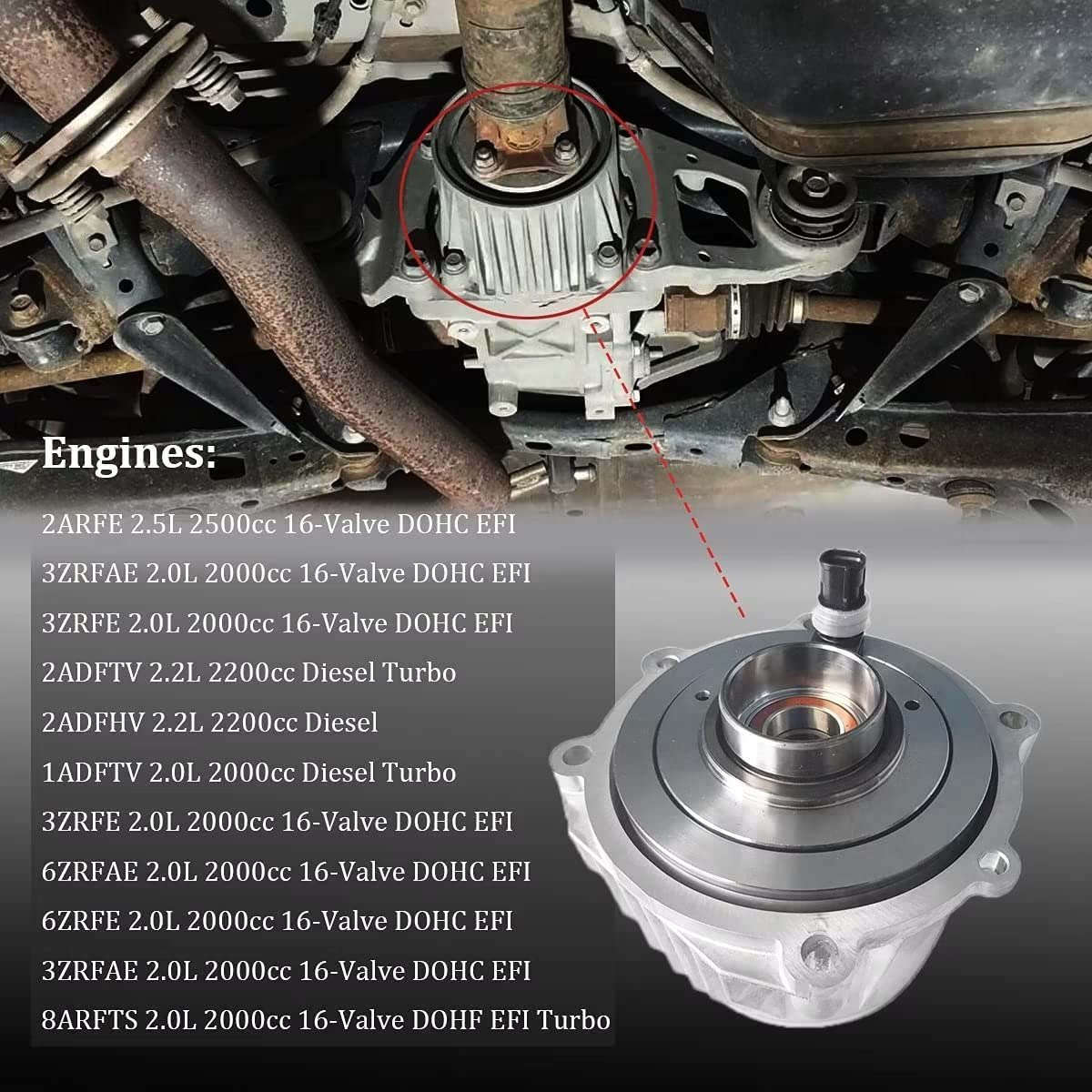 掛軸 330 51ONBY5-9qL.jpg_BO30,255,255,