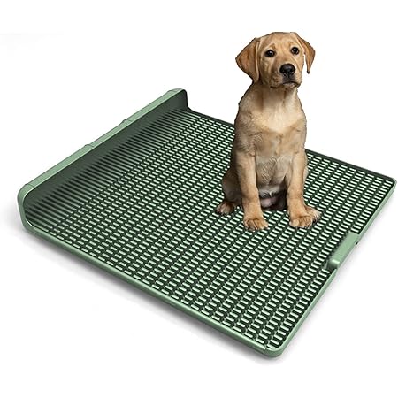 klean paws indoor potty
