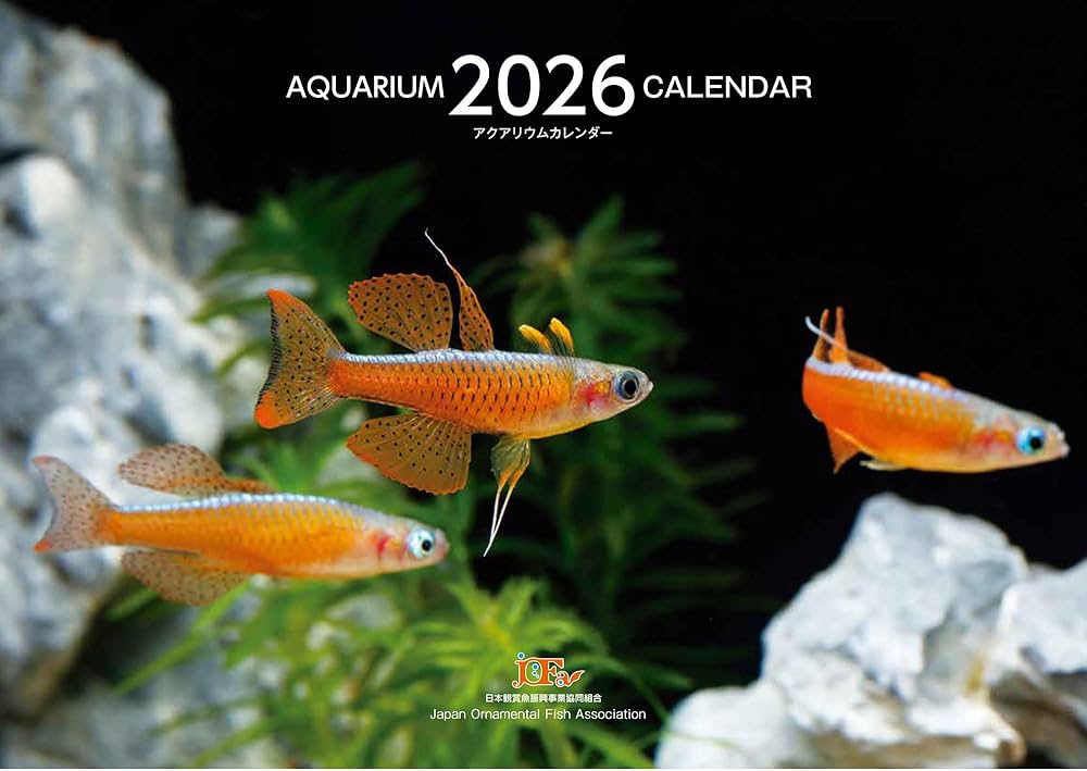 Aquarium Calendar アクアリウムカレンダー 2026(月めくり・壁掛け