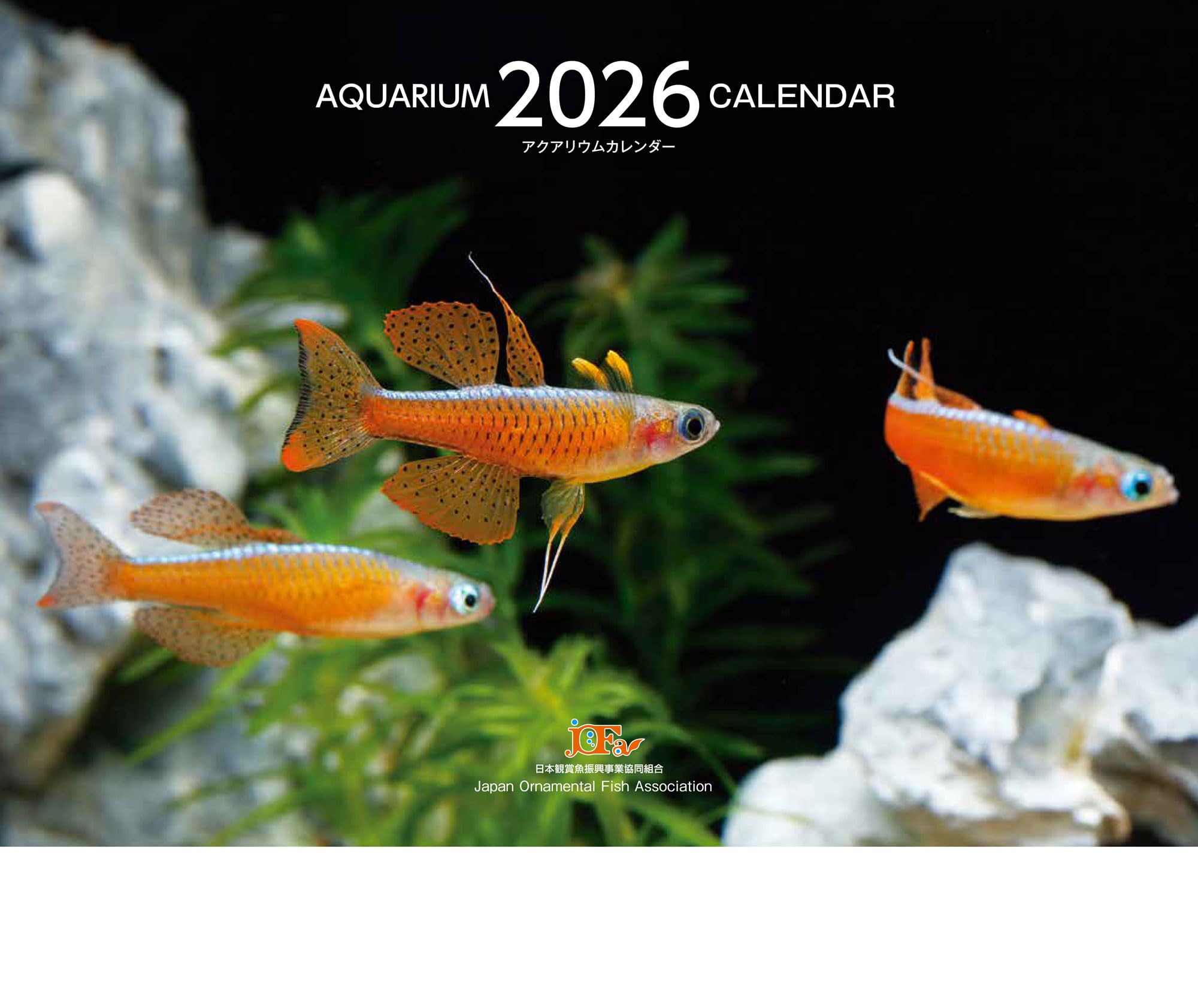 Aquarium Calendar アクアリウムカレンダー 2026(月めくり・壁掛け