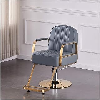 Classic Salon Chair for Barbershop Hair Stylist, Barber Chair Booster for Kids, Salon Chair for Hair Stylist Tattoo Chair Heavy Duty Barber Salon Barber Chair (Color : B)