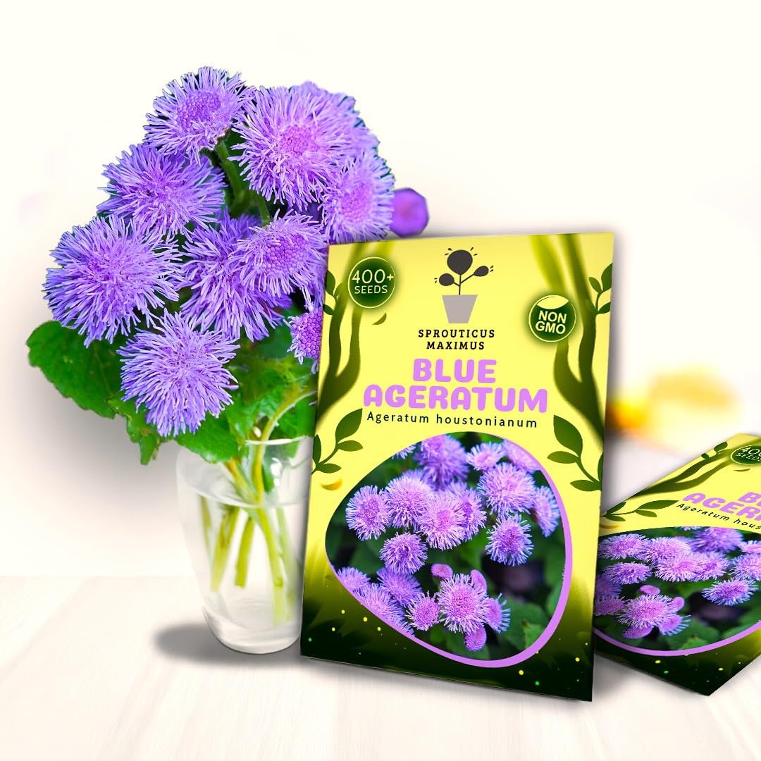 Amazon.com : Seeds Blue Ageratum 400+ Seeds to Grow Ageratum Houstonianum  Floss Flower Blue Mink Annual : Patio, Lawn & Garden