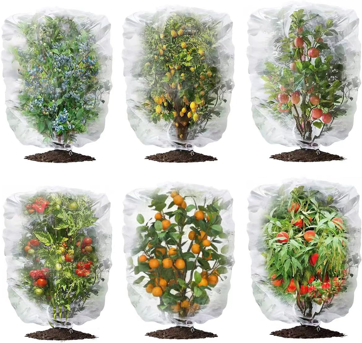 WOSCMI 3 Pack Garden Plant Netting Fruits Blueberry Bushes