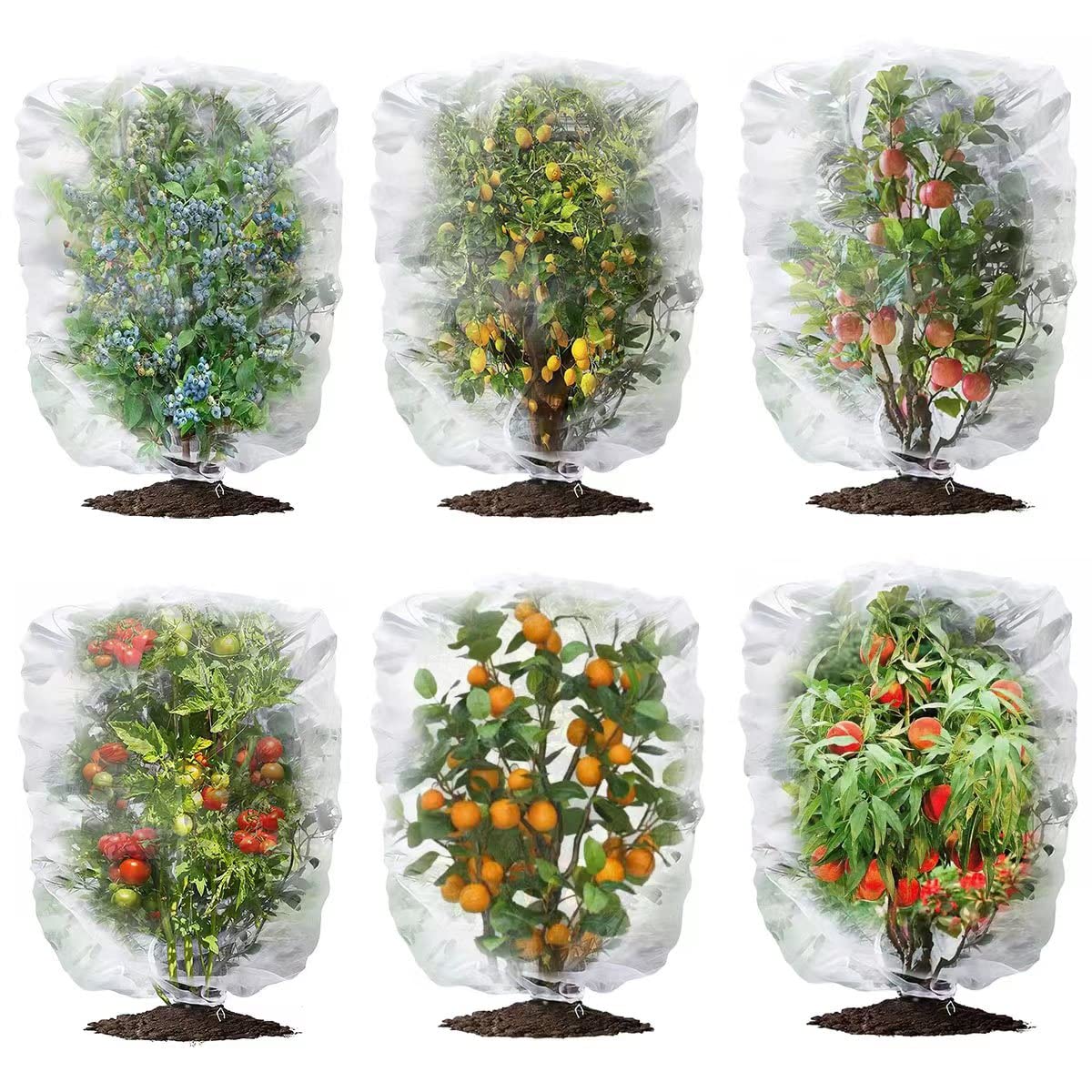 WOSCMI 6 Pack Garden Plant Netting Fruits Blueberry Bushes Tomato
