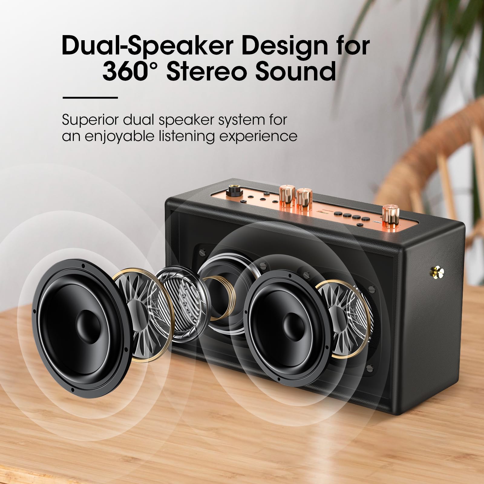 Amazon.com: Retro Karaoke Machine with Two Wireless