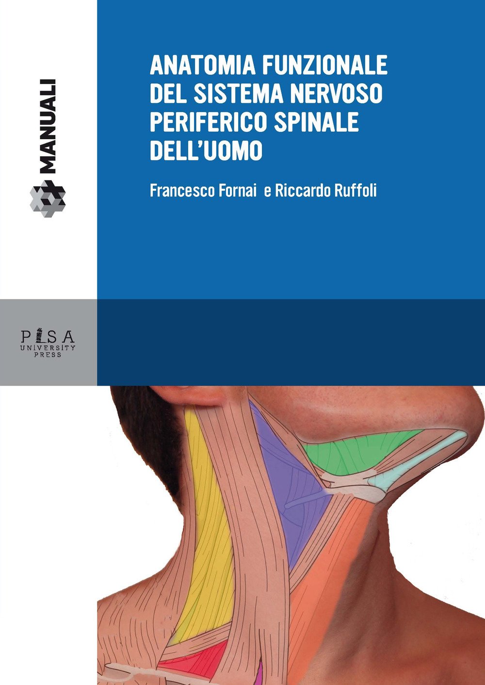 Anatomia Funzionale Del Sistema Nervoso Periferico Spinale Dell'uomo - 4