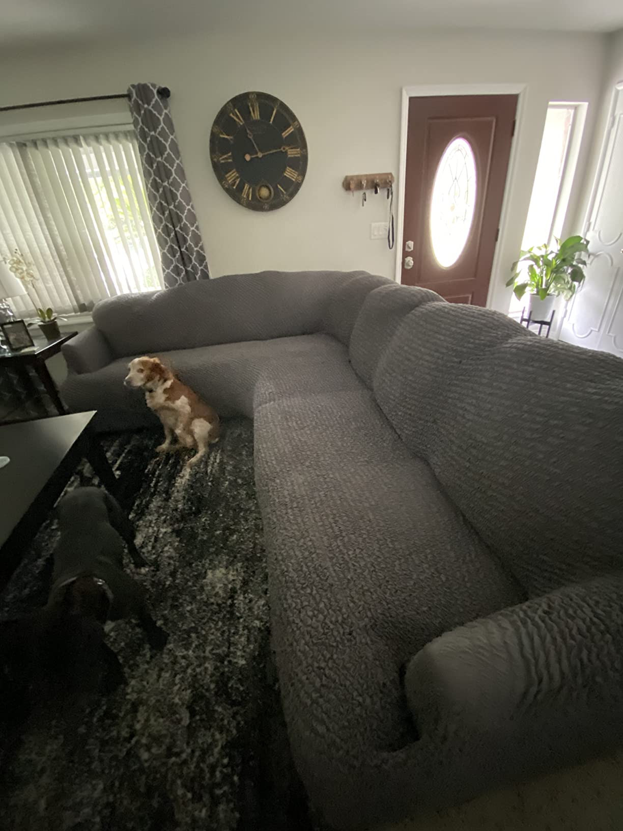 48/mo Finance PAULATO BY GA.I.CO. Sectional Sofa Cover Corner Sofa Slipcover Soft