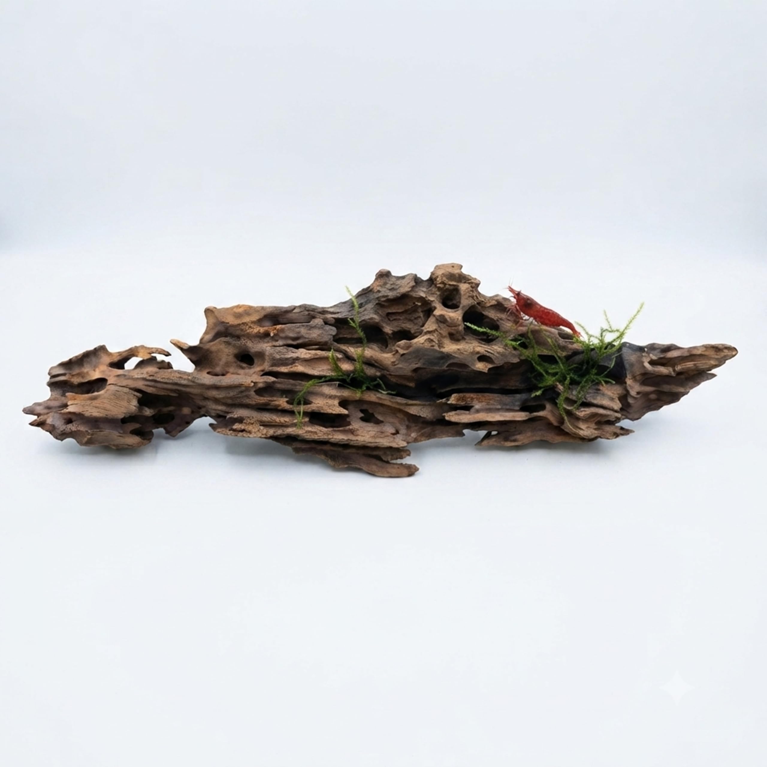VIRS PRO Premium Dragon Wood for Aquariums & Aquascaping – Natural Malaysian Driftwood Hardscape, Hollow Root Wood for Shrimp, Fish Tank, Reptiles and Terrarium Decor 20 cm - 30 cm