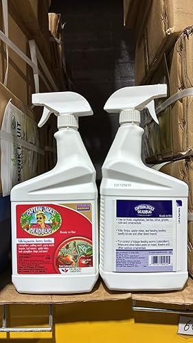 Bonine Capitán Jack S Deadbug Brew listo para usar