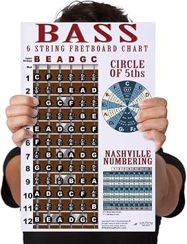 Laminated 6 String Bass Fretboard Poster - Nashville Numbering System, Circle of 5ths, Notes Instructional Chart | A New Song Music | 11x17