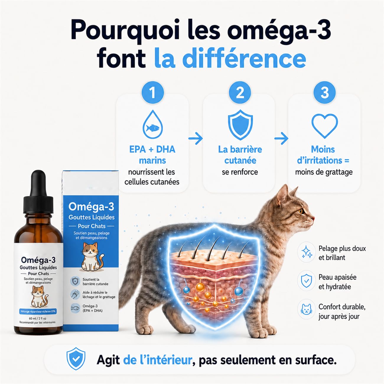 Gouttes d'Oméga-3 pour Chats – Huile de Saumon Purifiée avec EPA & DHA + Vitamine E | Complément Naturel Anti-Démangeaisons, Pelage Brillant & Peau Saine | Facile à Administrer