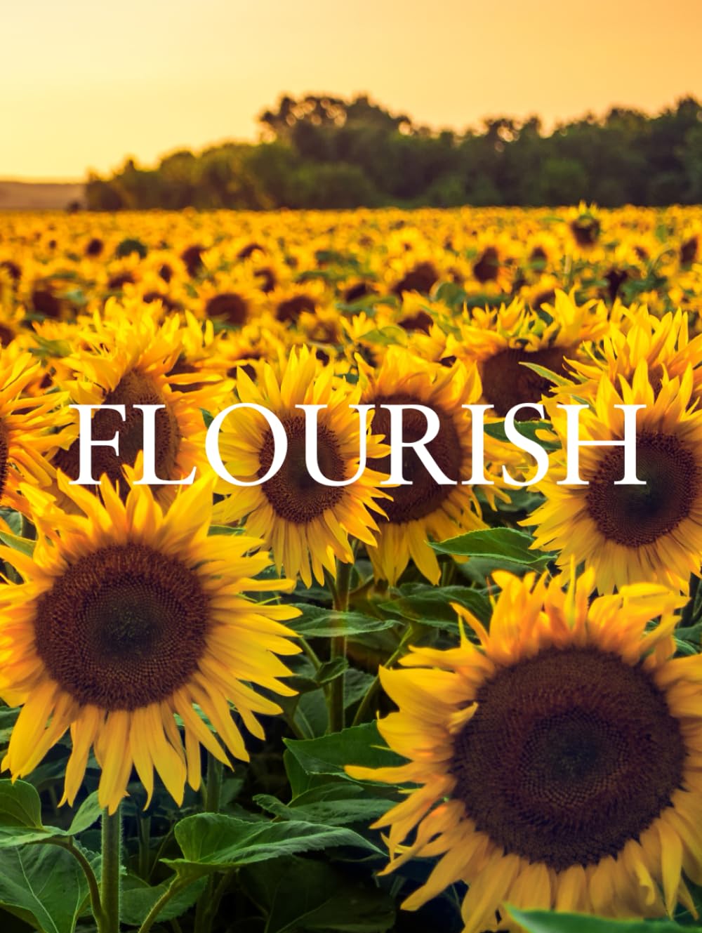 Livre déco botanique Flourish parfait pour sublimer vos étagères de salon