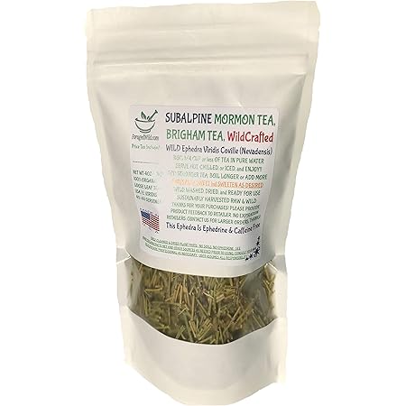 Mormon Tea - Brigham Tea - Ephedra Tea - SUBALPINE | USA WILDCRAFTED 1/4LB Dried
