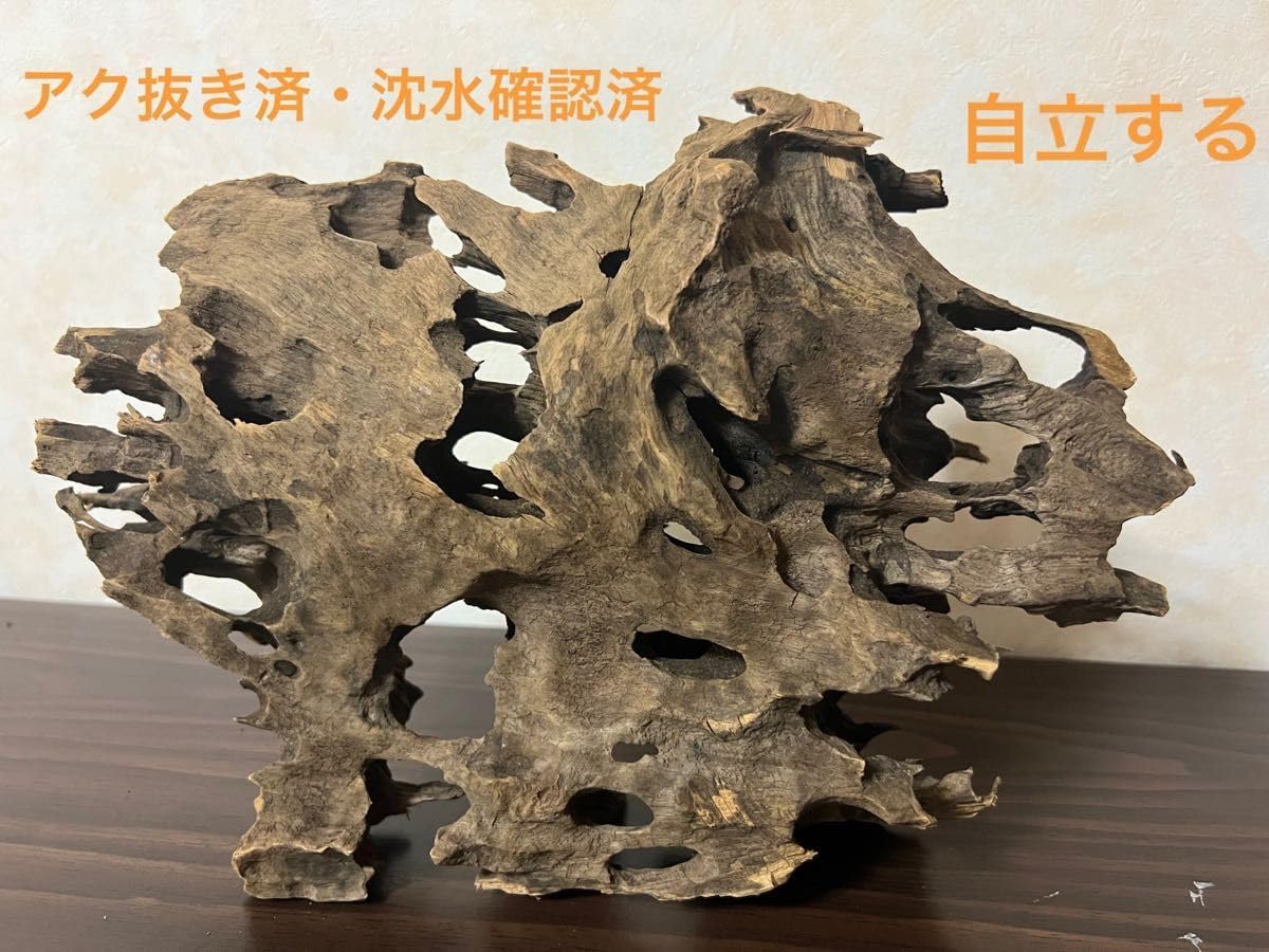 XM-368 ブランチウッド 流木 マシンガンウッド アクアリウム 沈水確認