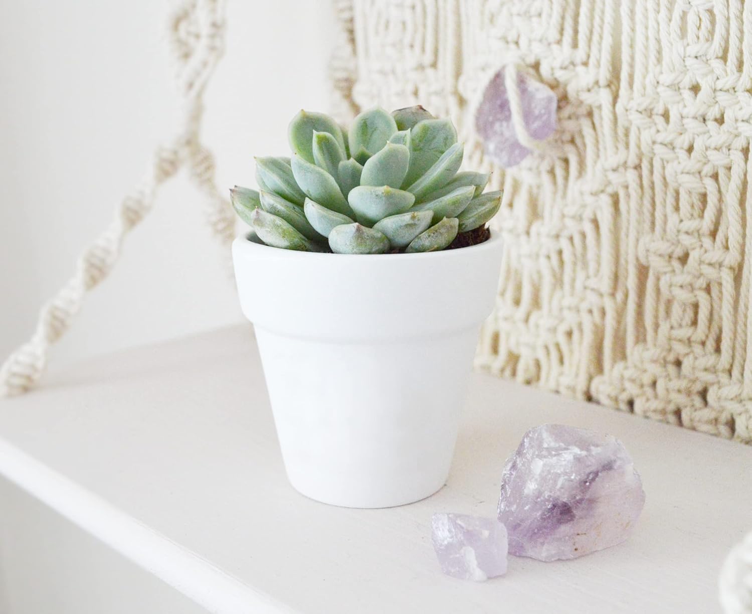 40 Pcs White Terracotta Pot - 2.5 Inch Mini Clay Pots with Drainage Holes Flower Nursery Terra Cotta Pots for Succulent Plants, Crafts, Wedding Baby Shower Favor